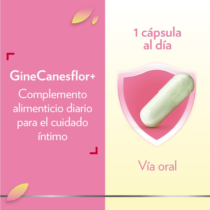 GineCanesflor+