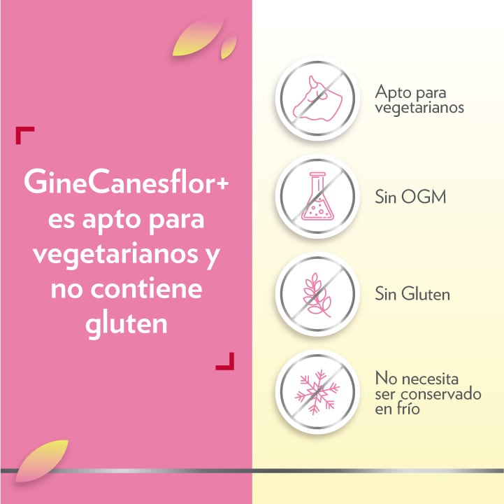 GineCanesflor+