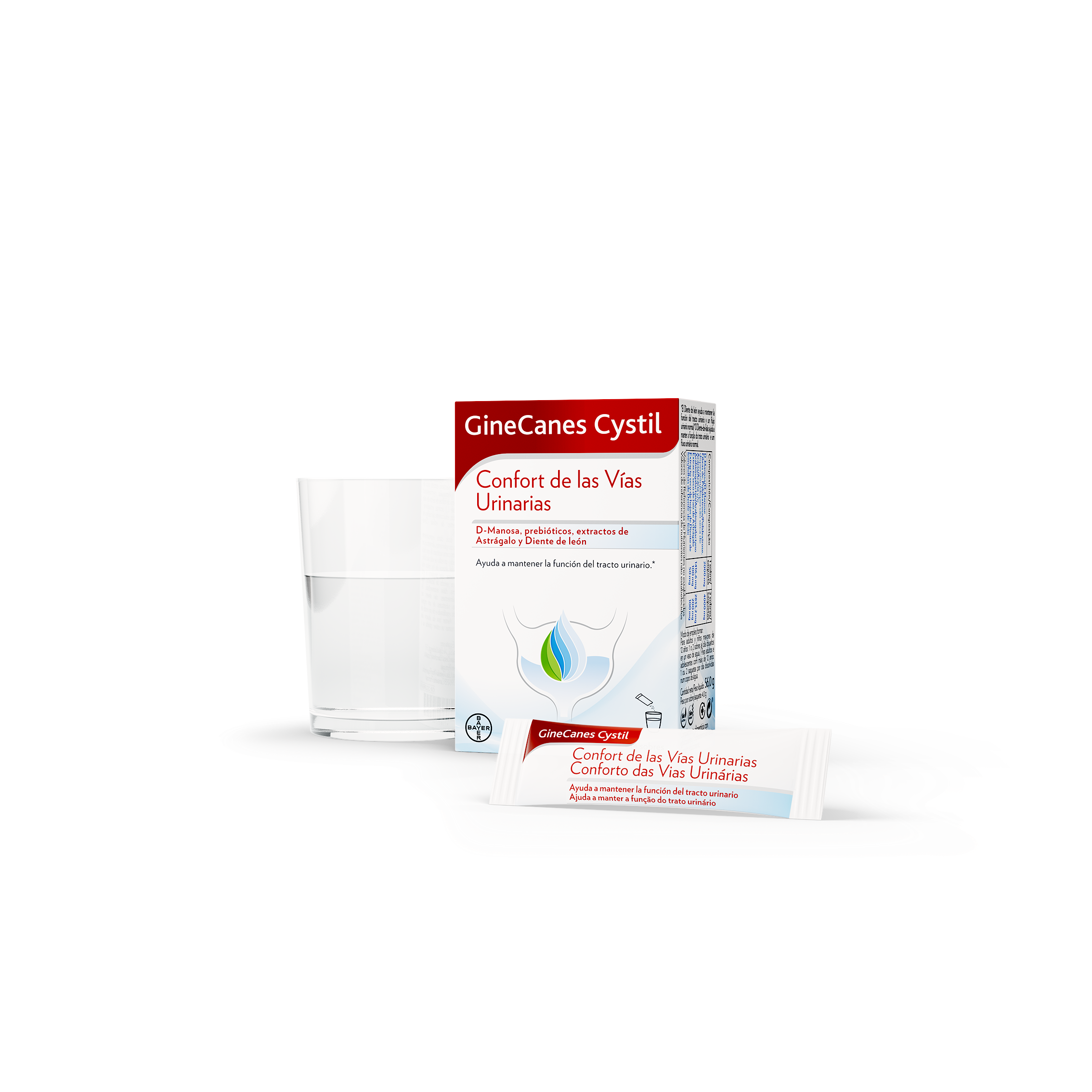 GINECANES CYSTIL VASO PACK SOBRE